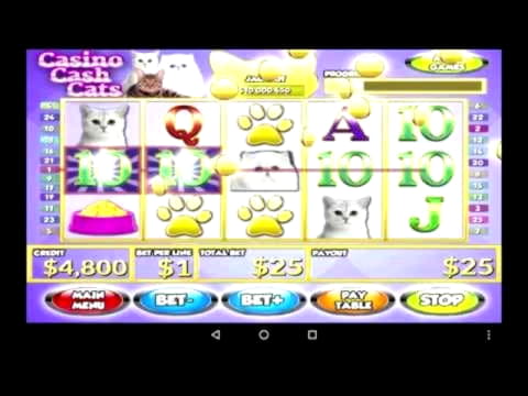 505% התאמה בקזינו בקזינו קלאב גולד